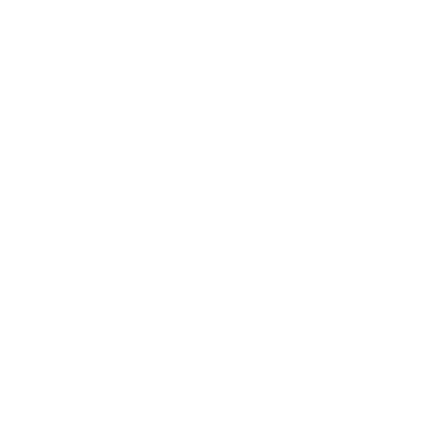icon trainer