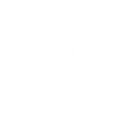 consultant icon