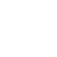 icon trainer